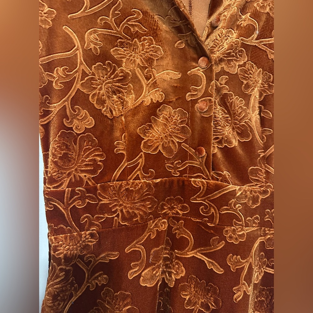 Cider Rust Velvet Floral Shirt - Picture 4 of 7